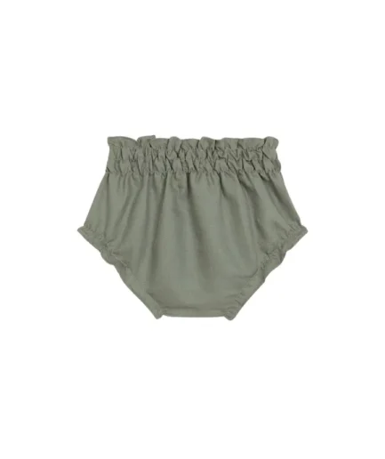 Braguita Liquen